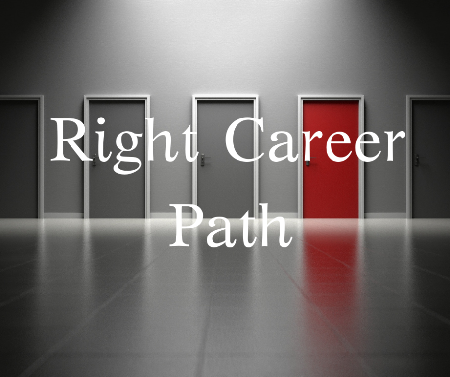 right career path for blog